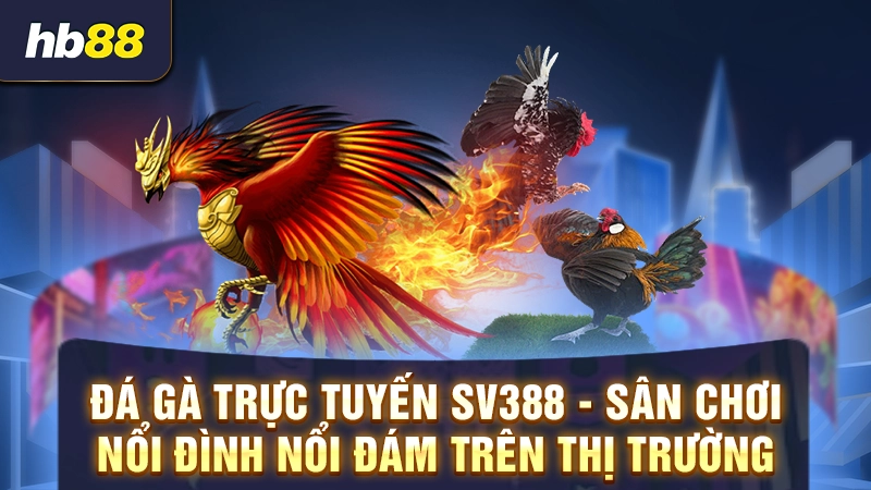 Đá gà trực tuyến SV388 - Sân chơi nổi đình nổi đám trên thị trường