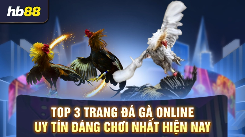 Trang Đá Gà Uy Tín 1 Top 3 trang đá gà online uy tín đáng chơi nhất hiện nay